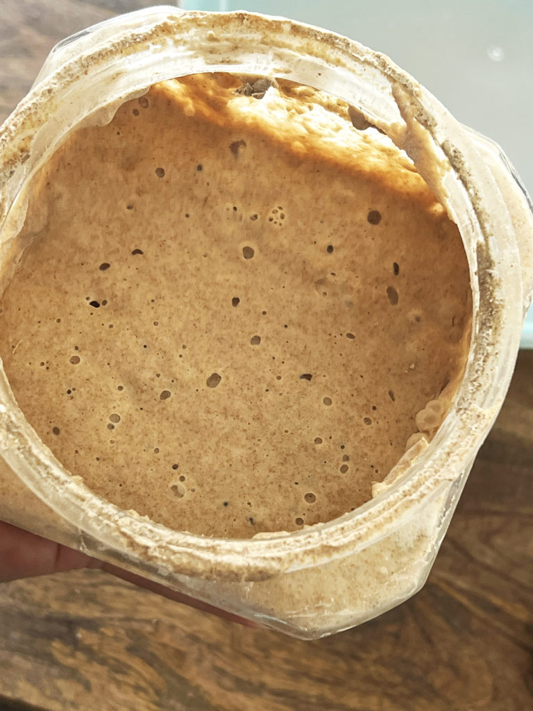 sourdough Starter