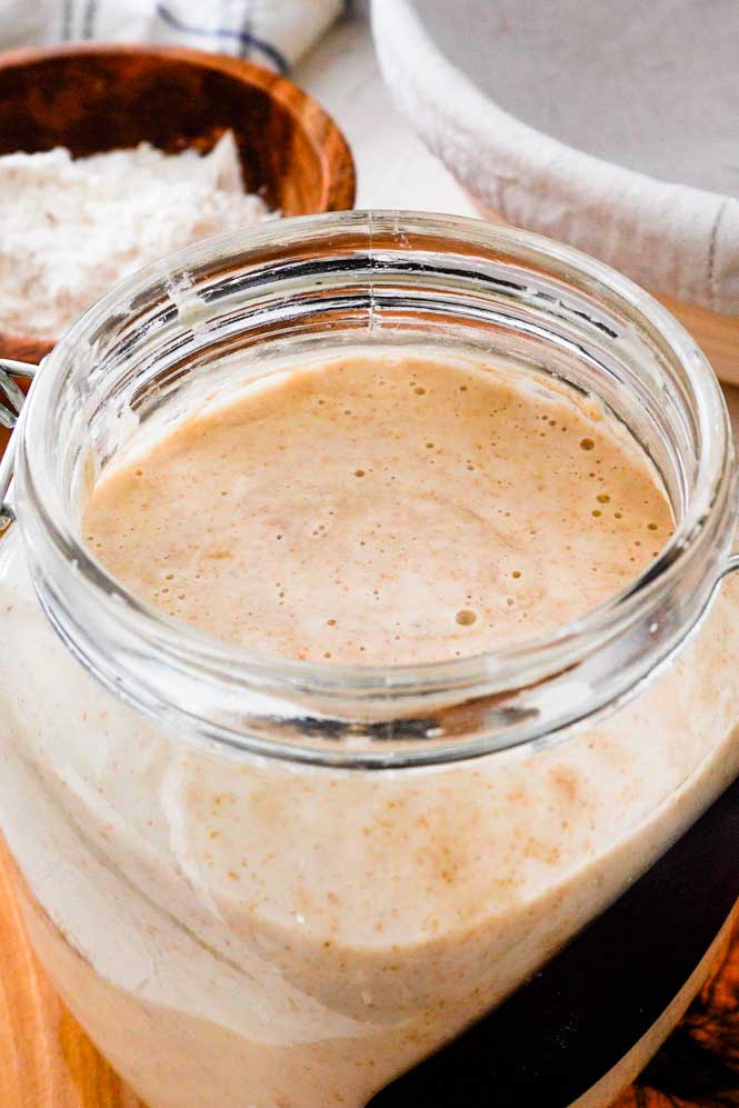 sourdough starter
